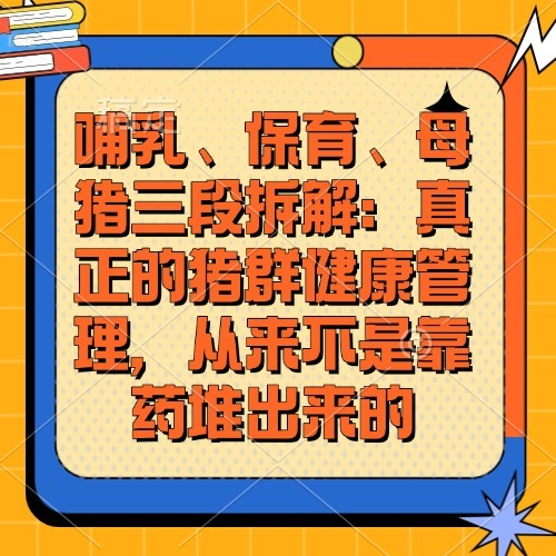 哺乳、保育、母猪三段拆解：真正的猪群健康管理，从来不是靠药堆出来的