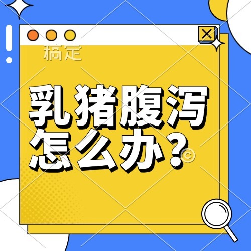 乳猪腹泻怎么办？