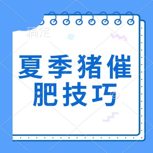 夏季猪催肥技巧