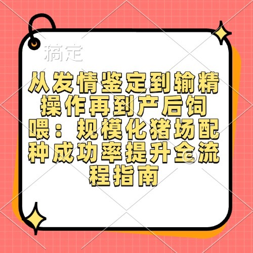 从发情鉴定到输精操作再到产后饲喂：规模化猪场配种成功率提升全流程指南