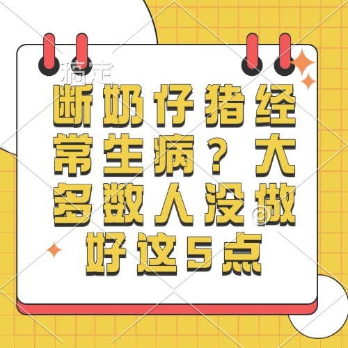 断奶仔猪经常生病？大多数人没做好这5点