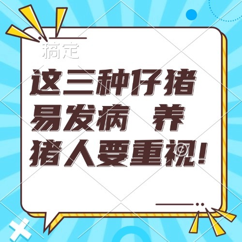 这三种仔猪易发病 养猪人要重视!