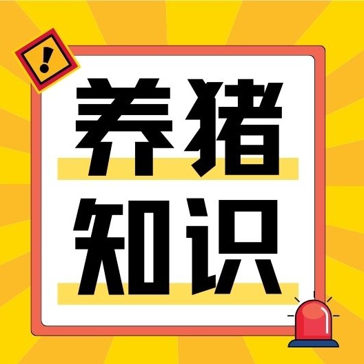 很多猪场误诊致死！猪神经症状最全鉴别方法