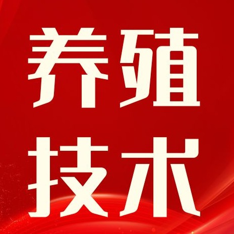 猪出现神经症状？警惕李氏杆菌病