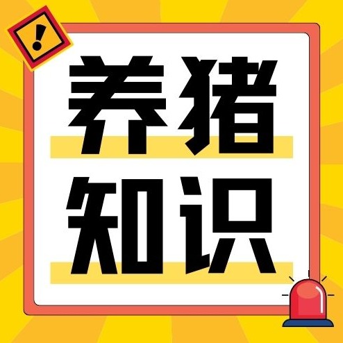 立秋过后驱虫进入关键期：有没有必要定期驱虫？