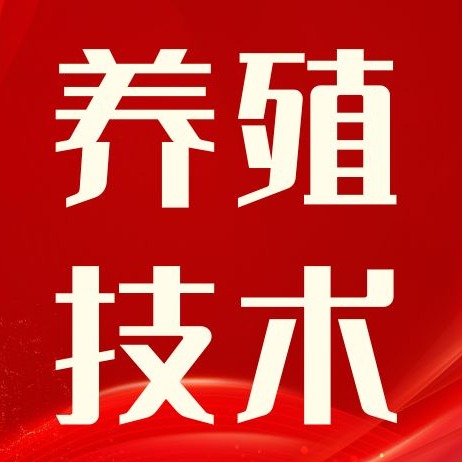 破除误区！液态饲喂是成套系统，绝非简单干料加水