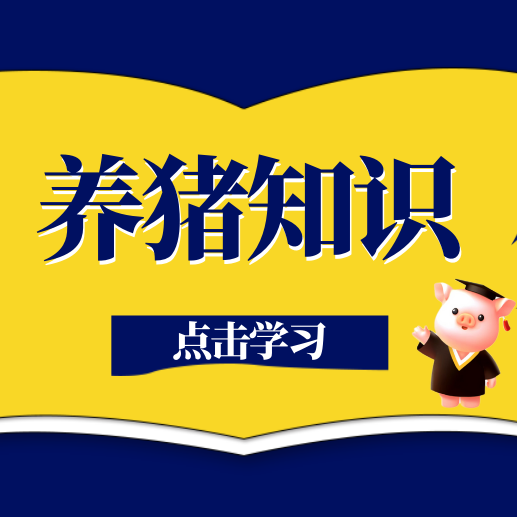 饲料只看颜色、猪粪发黑就上当？8个养猪常见误区