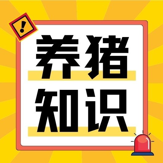 猪场常见疾病的典型症状，如何鉴别诊断？