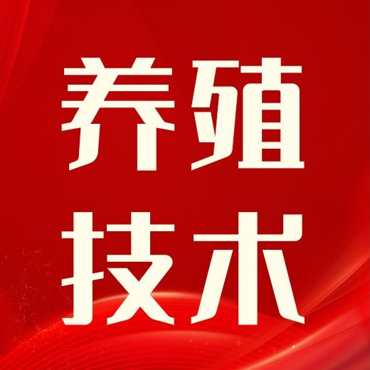养猪全套核心技术！从母猪到育肥，全程手把手教学