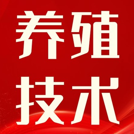 高温天养猪，该怎样补充微量元素？