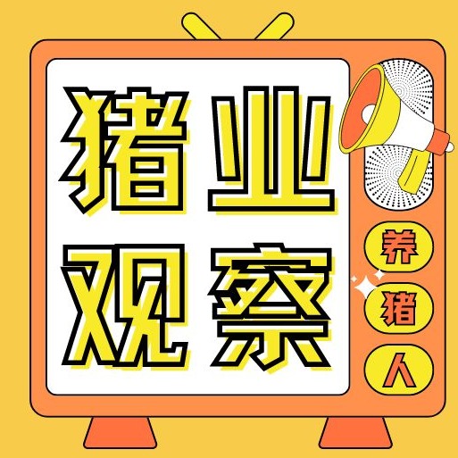 2025年全国各省生猪饲料产量排行榜（附2023-2025年数据）