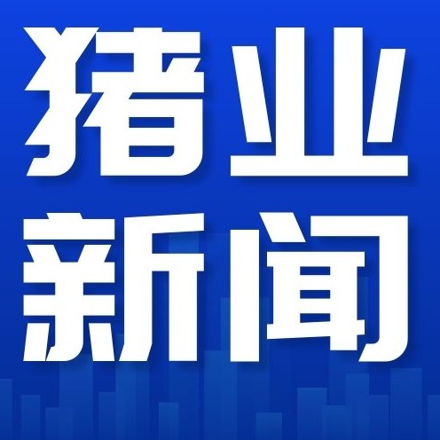 2026年7月及前7月中央储备冻猪肉的收储和投放情况