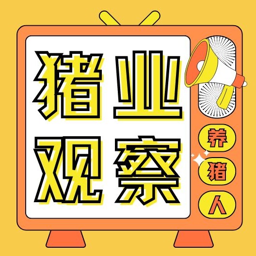 去化近300万头，母猪料却反增4.2%？猪价磨底周期或远超预期