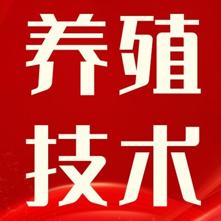 猪瘟、猪肺疫、猪丹毒三种传染病的鉴别