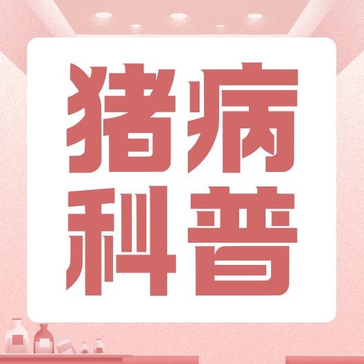 猪瘟、猪肺疫、猪丹毒三种传染病的鉴别