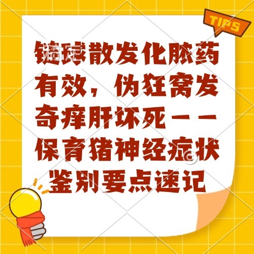 链球散发化脓药有效，伪狂窝发奇痒肝坏死&mdash;&mdash;保育猪神经症状鉴别要点速记