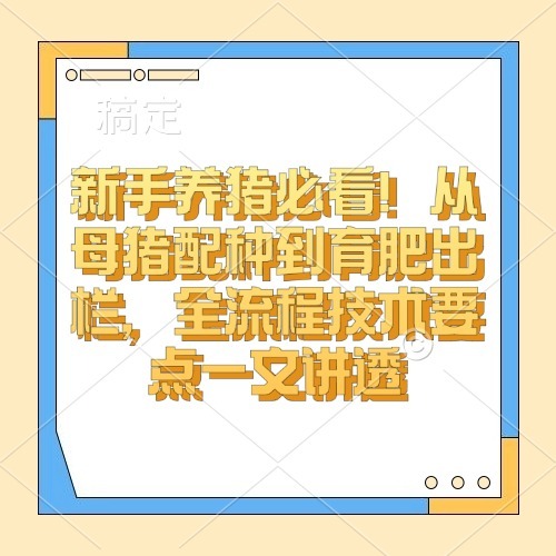 新手养猪必看！从母猪配种到育肥出栏，全流程技术要点一文讲透