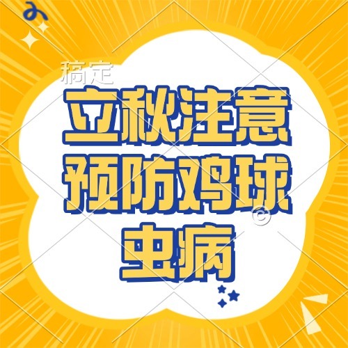 立秋注意预防鸡球虫病