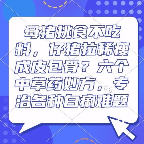 母猪挑食不吃料，仔猪拉稀瘦成皮包骨？六个中草药妙方，专治各种白痢难题