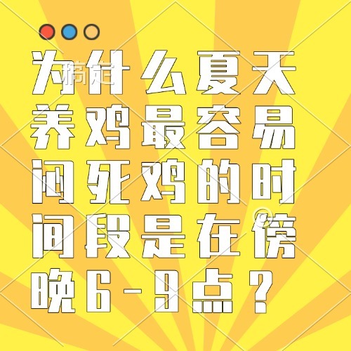 为什么夏天养鸡最容易闷死鸡的时间段是在傍晚6-9点？