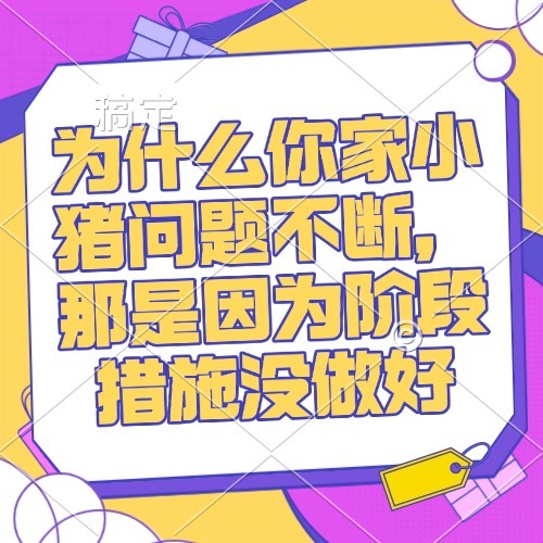 为什么你家小猪问题不断，那是因为阶段措施没做好