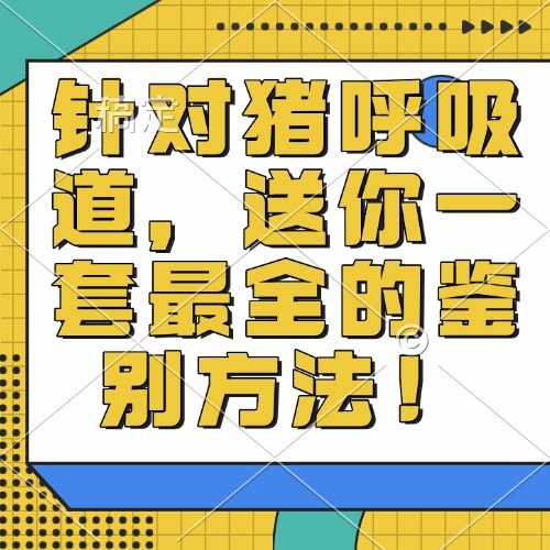 针对猪呼吸道，送你一套最全的鉴别方法！