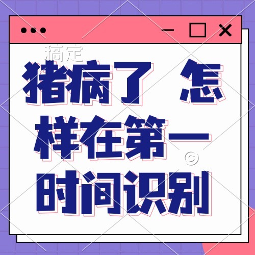 猪病了 怎样在第一时间识别