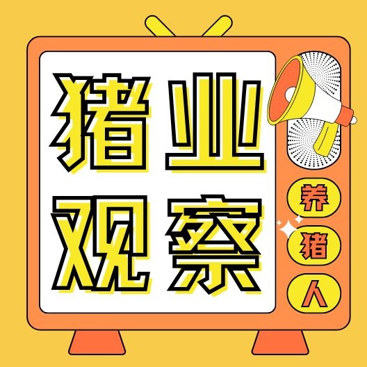 猪价迎来十连涨！肥猪紧缺，头部猪企冲刺5元成本线