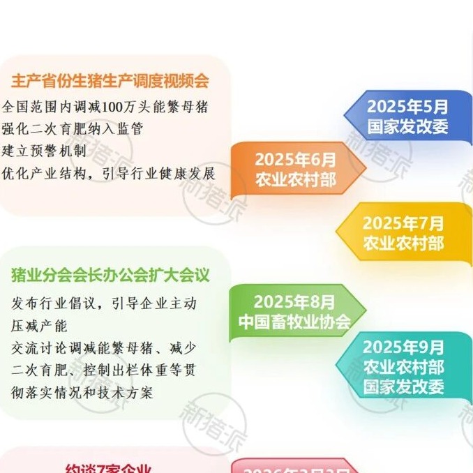 13家集团猪企紧急&ldquo;瘦身&rdquo;，调减产能216万头！从拼出栏到求生存，行业进入存量精耕新周期