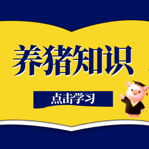 养猪谚语：&ldquo;四蹄不定，必定有病&rdquo;，到底是什么意思呢？
