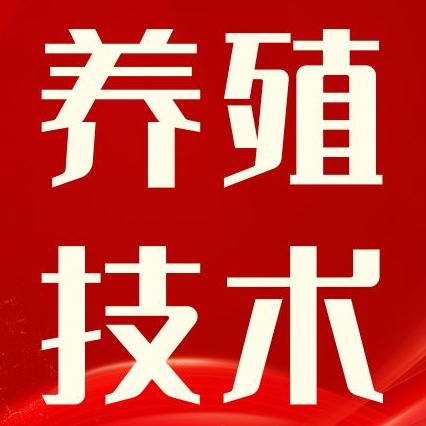 猪群咳嗽老不好，养猪人何不试试这个秘方？效果真不赖！