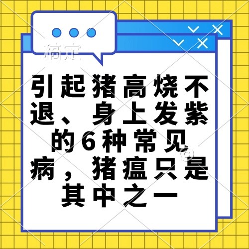 引起猪高烧不退、身上发紫的6种常见病，猪瘟只是其中之一