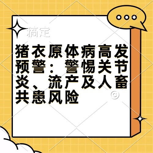 猪衣原体病高发预警：警惕关节炎、流产及人畜共患风险