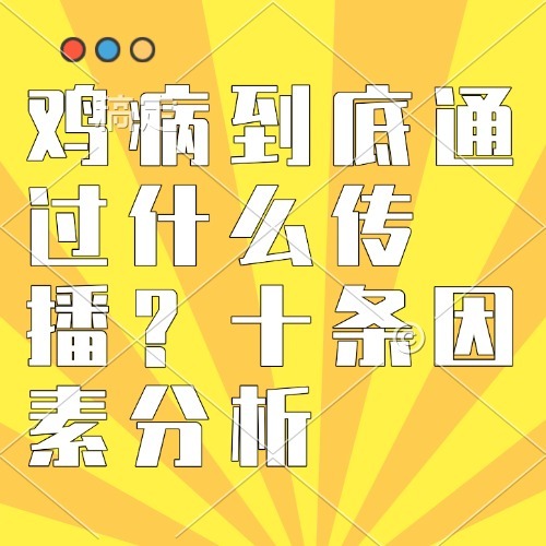 鸡病到底通过什么传播？十条因素分析