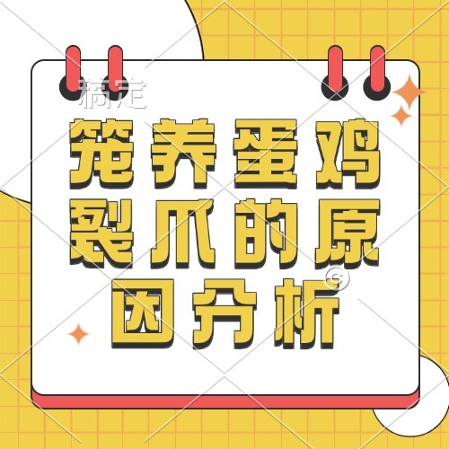 笼养蛋鸡裂爪的原因分析