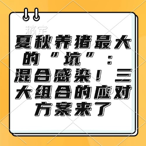 夏秋养猪最大的&ldquo;坑&rdquo;：混合感染！三大组合的应对方案来了