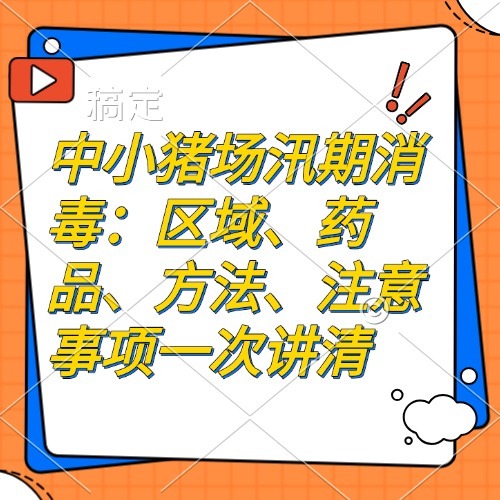 中小猪场汛期消毒：区域、药品、方法、注意事项一次讲清
