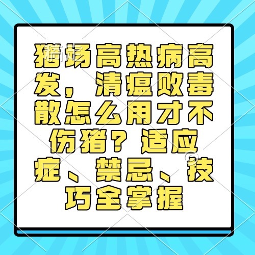 猪场高热病高发，清瘟败毒散怎么用才不伤猪？适应症、禁忌、技巧全掌握