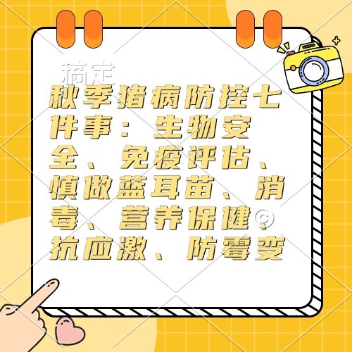 秋季猪病防控七件事：生物安全、免疫评估、慎做蓝耳苗、消毒、营养保健、抗应激、防霉变