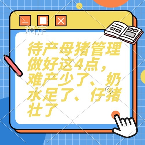 待产母猪管理做好这4点，难产少了、奶水足了、仔猪壮了