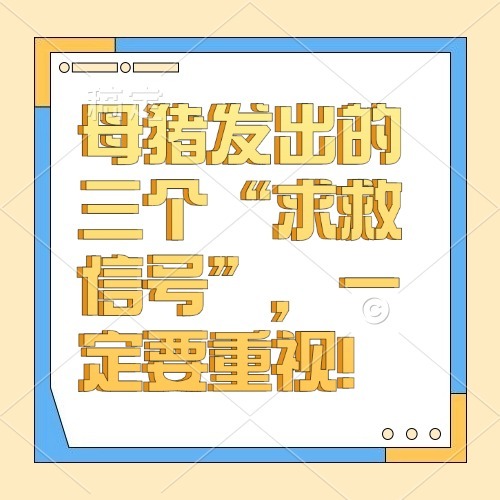 母猪发出的三个&ldquo;求救信号&rdquo;，一定要重视！
