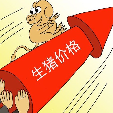 二师兄重启上涨！月底能破6元一斤吗？