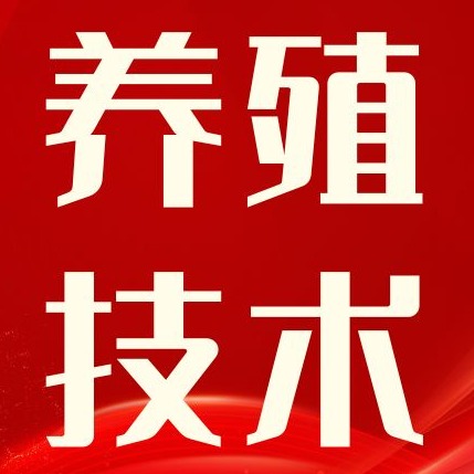 阿莫西林 + 替米 + 磺胺失效！保育猪混感难治真相