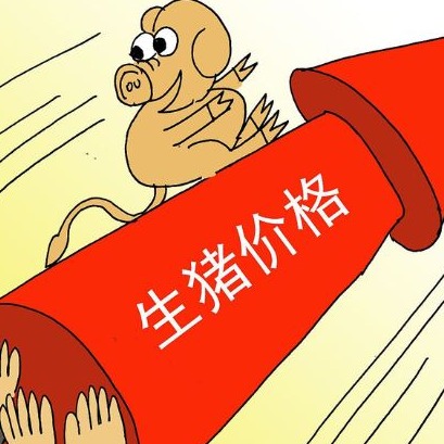 二师兄又落价！开学利好临近，9月上旬猪价有望迎来反弹上涨？