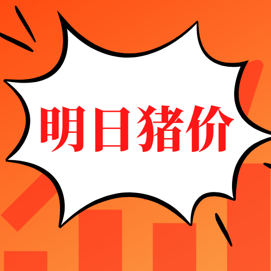 8.29  明日猪价早知道  全国最新猪价信息