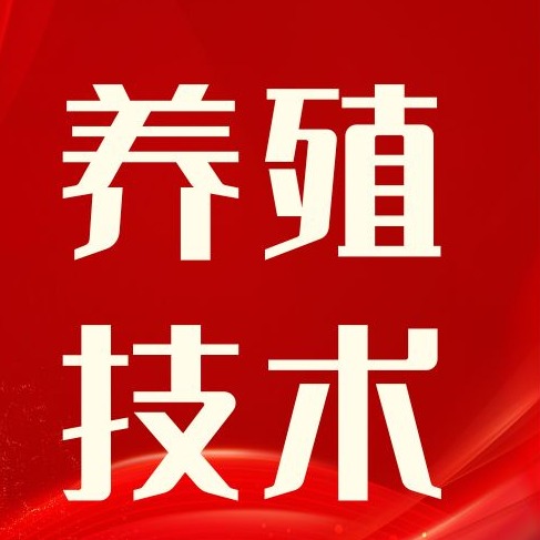 产仔多成活少？教你几招搞定仔猪成活率低难题