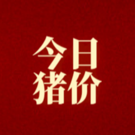 9.9 明日猪价（仅供参考）
