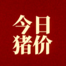9.10 明日猪价（仅供参考）