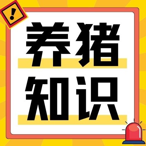 秋季昼夜温差大猪群咳喘拉稀增多，猪场该如何做好换季防疫？