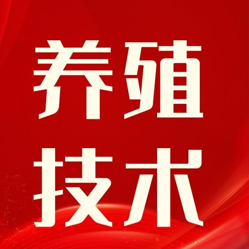 猪病治不好，不全是诊断错！12个用药细节，别忽视